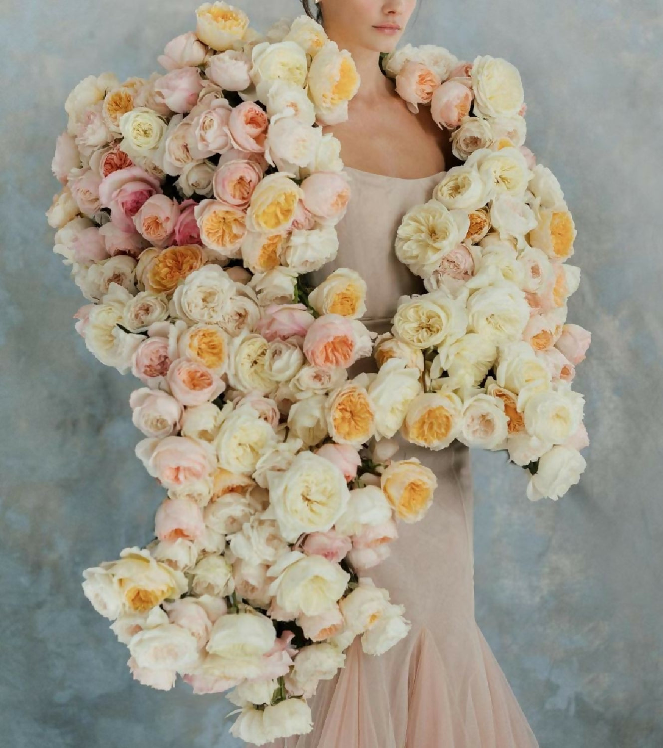 200 roses Wabara, Princess, David Austin, deluxe, unique garden and spray rose mix - Image 5