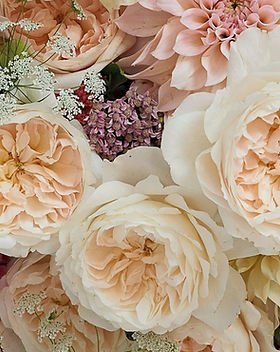 84+ rose stem mixed package – White & Cream Palette - Image 2