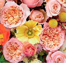 84+ rose stem mixed package – Fall Harvest Gold Palette - Image 4