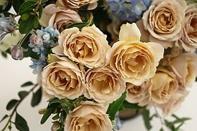 84+ rose stem mixed package – Fall Harvest Gold Palette - Image 6