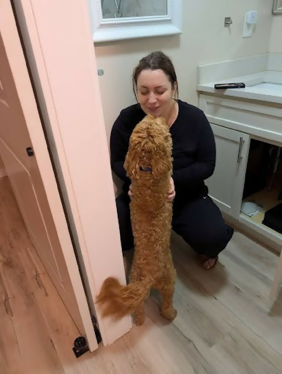 Dog sitter and walker