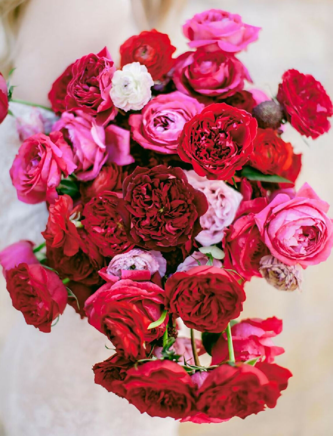 96 stems (8 dozens) of mixed David Austin Roses - Juliet (Ausjameson) Constance Keira Beatrice Miranda (Ausimmon) Edith Effie Eugenie Millicent Hettie etc - Image 5