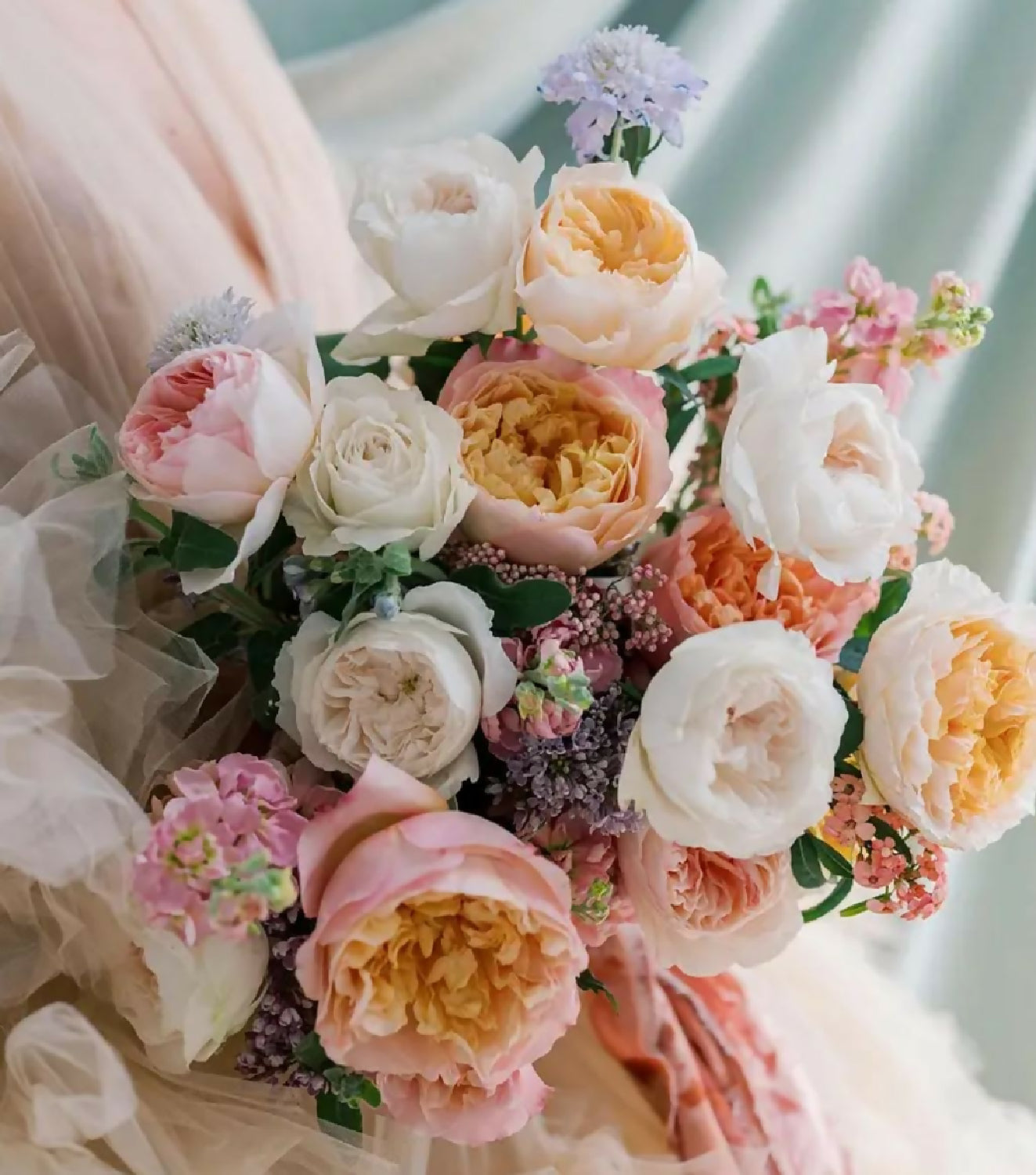 200 roses Wabara, Princess, David Austin, deluxe, unique garden and spray rose mix - Image 6