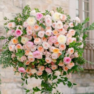 Mixed 96 stems (8 dozens) of David Austin Roses - Juliet Constance Keira Beatrice Miranda Edith Effie Eugenie Millicent Hettie etc