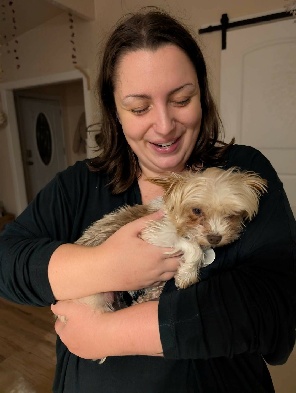 Dog sitter and walker - Image 2