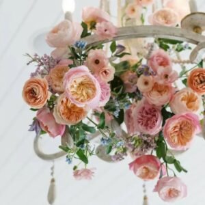 96 stems (8 dozens) of David Austin's Roses - Juliet Constance Keira Beatrice Miranda Edith Effie Eugenie Millicent Hettie etc