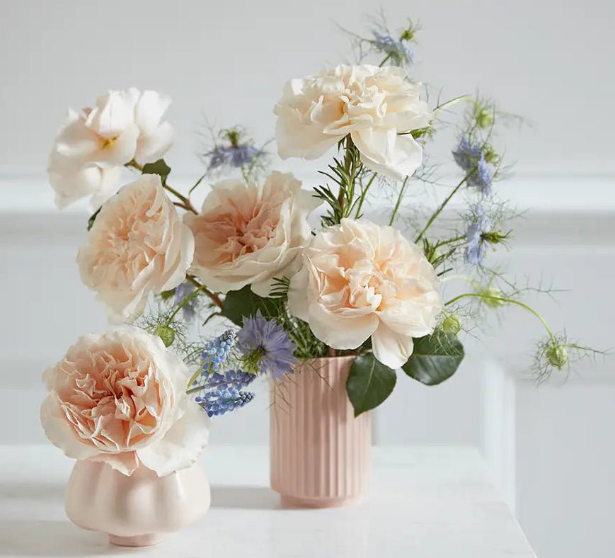 84+ rose stem mixed package – White & Cream Palette