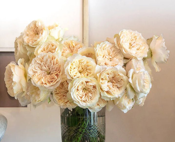 84+ rose stem mixed package – White & Cream Palette - Image 7