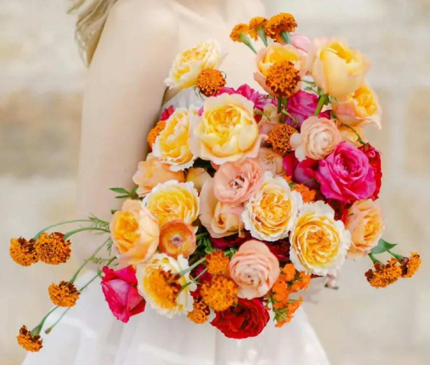 200 roses Wabara, Princess, David Austin, deluxe, unique garden and spray rose mix - Image 3