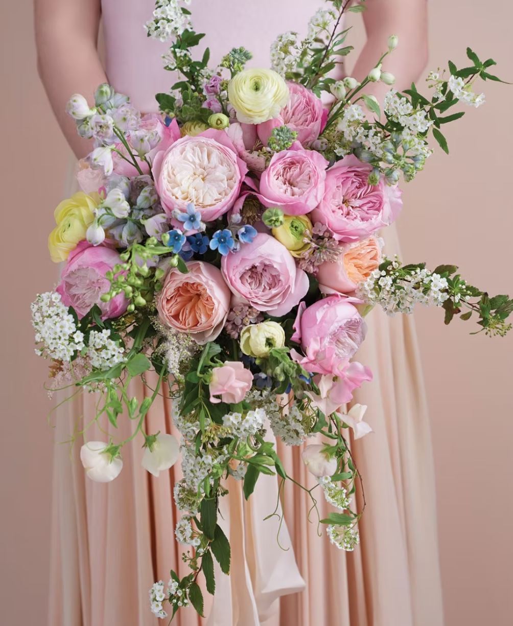 96 stems (8 dozens) of mixed David Austin Roses - Juliet (Ausjameson) Constance Keira Beatrice Miranda (Ausimmon) Edith Effie Eugenie Millicent Hettie etc - Image 6