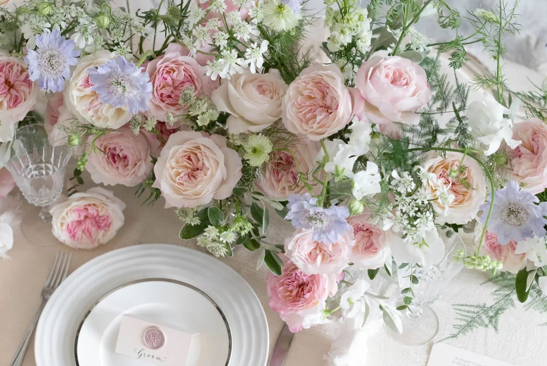 96 stems (8 dozens) of mixed David Austin Roses - Juliet (Ausjameson) Constance Keira Beatrice Miranda (Ausimmon) Edith Effie Eugenie Millicent Hettie etc - Image 7
