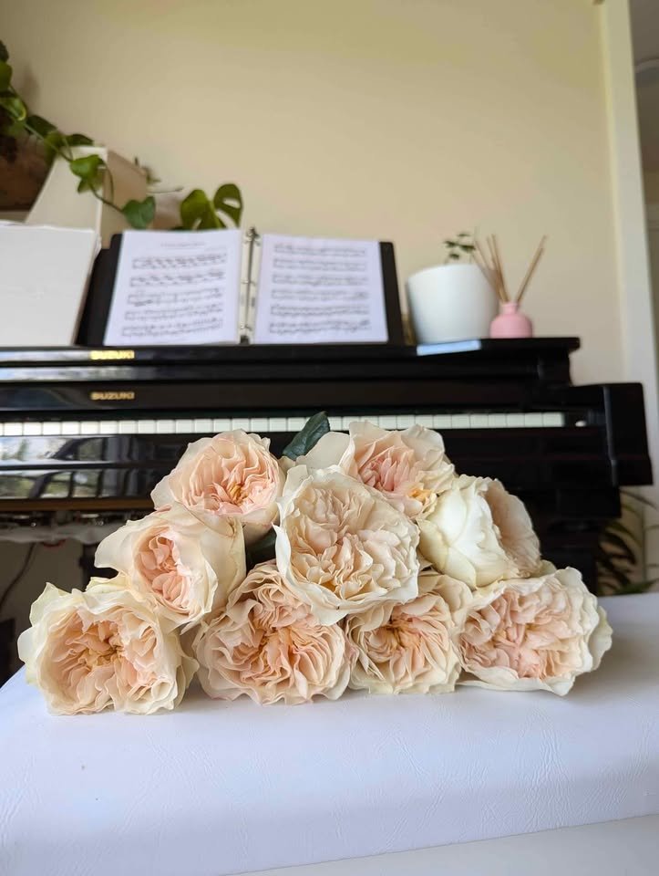 Wedding garden rose plant large flower bush deciduous shrub - Image 6
