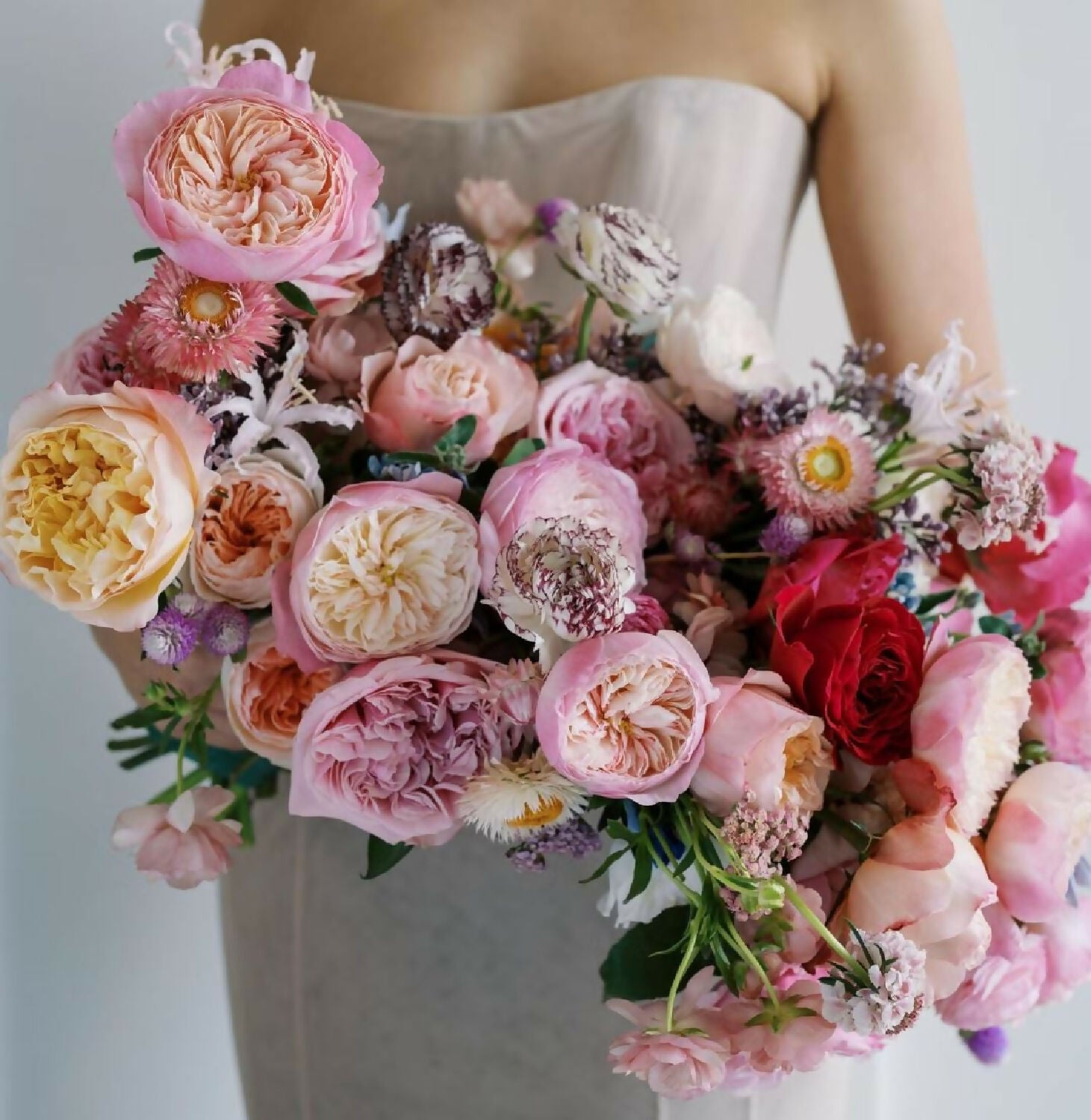 96 stems (8 dozens) of mixed David Austin Roses - Juliet (Ausjameson) Constance Keira Beatrice Miranda (Ausimmon) Edith Effie Eugenie Millicent Hettie etc