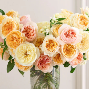 84+ rose stem mixed package – Fall Harvest Gold Palette