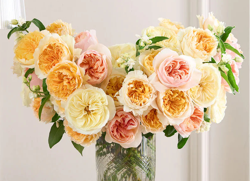84+ rose stem mixed package – Fall Harvest Gold Palette