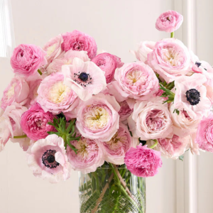 84+ rose stem mixed package – Romantic Pink Palette