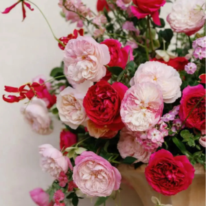 84+ rose stem mixed package – Christmas/Valentine’s Red & Pink Palette