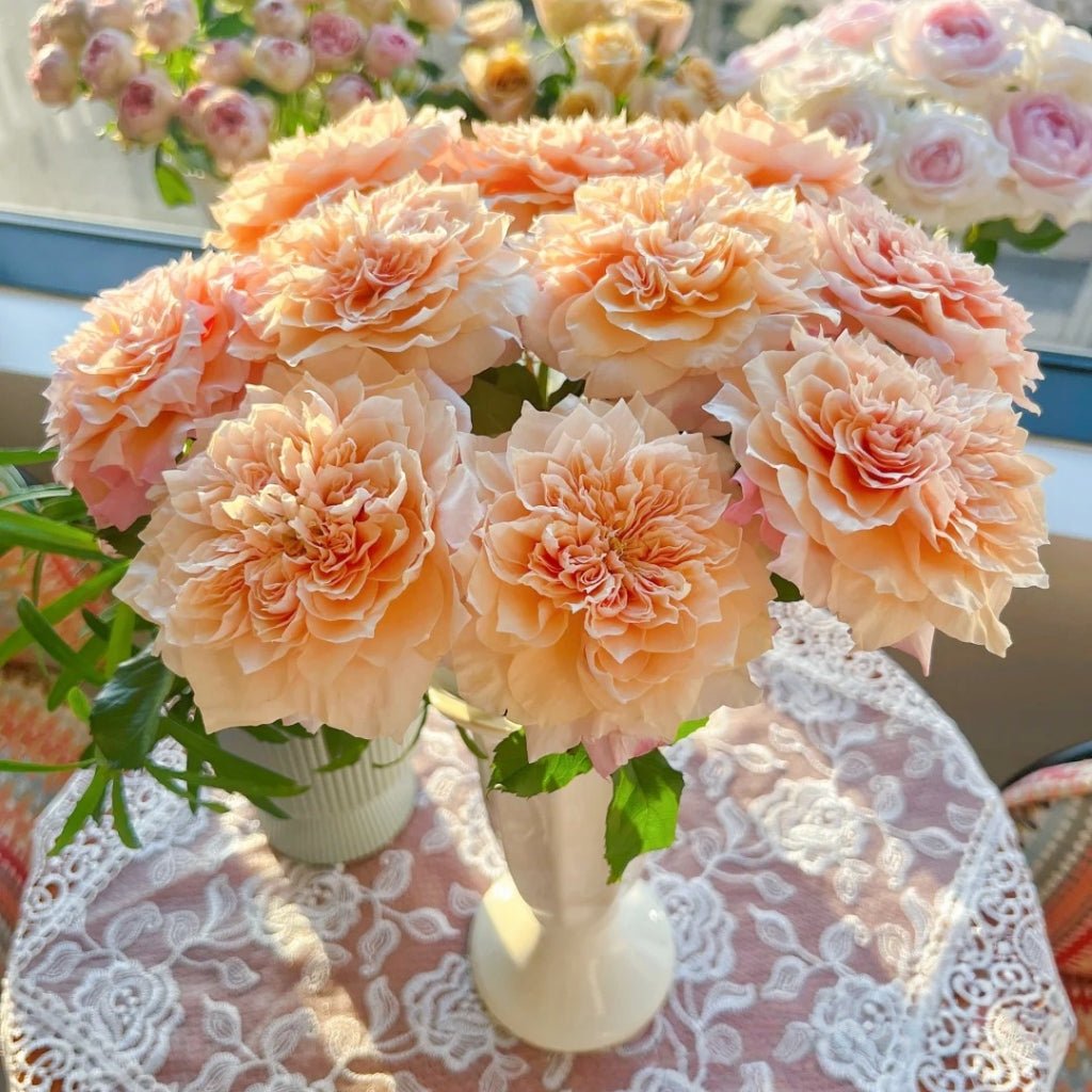 Issei Japanese garden rose plant flower bush deciduous shrub - Image 4