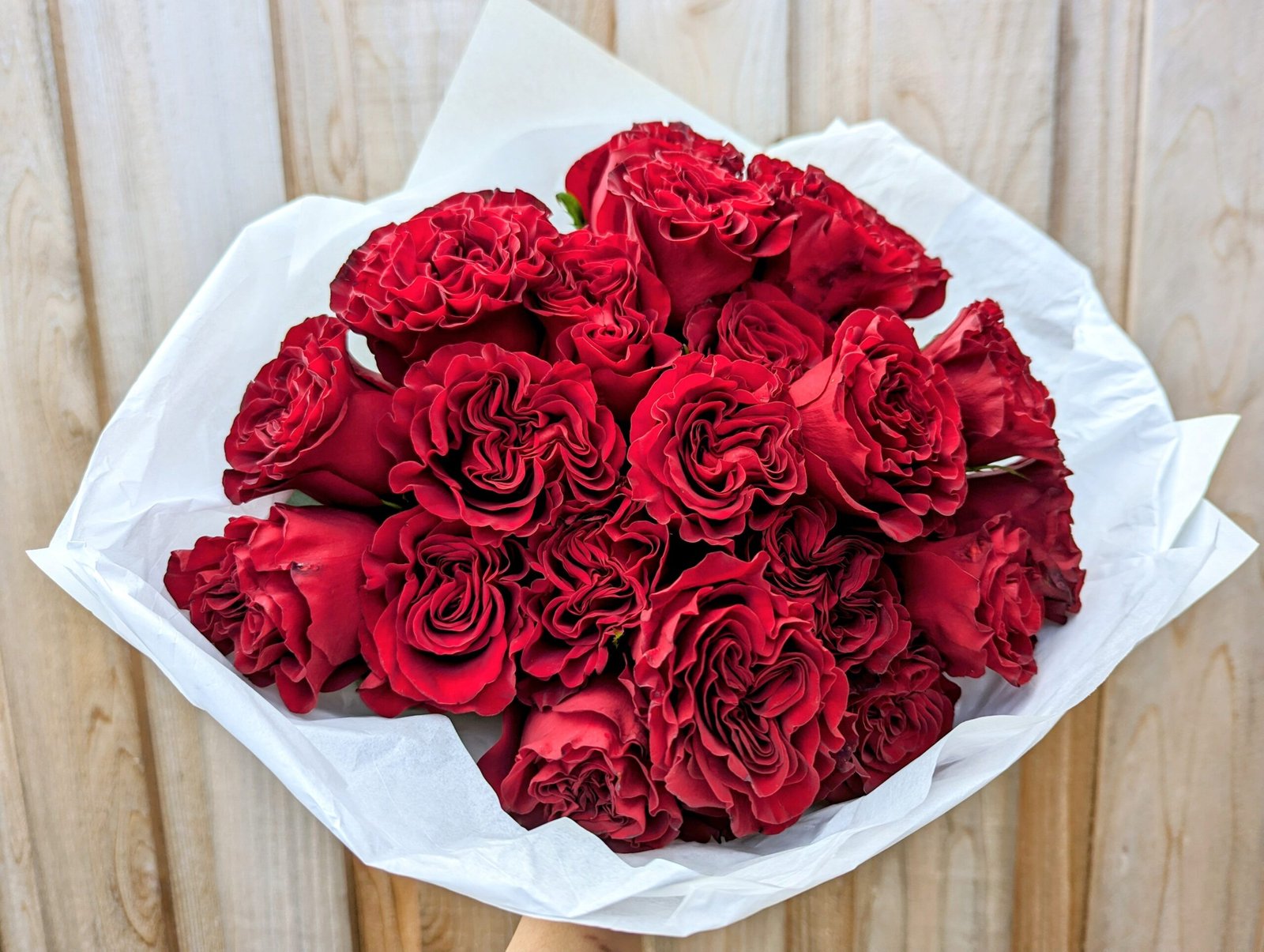 Hearts garden rose plant flower bush shrub - Image 6