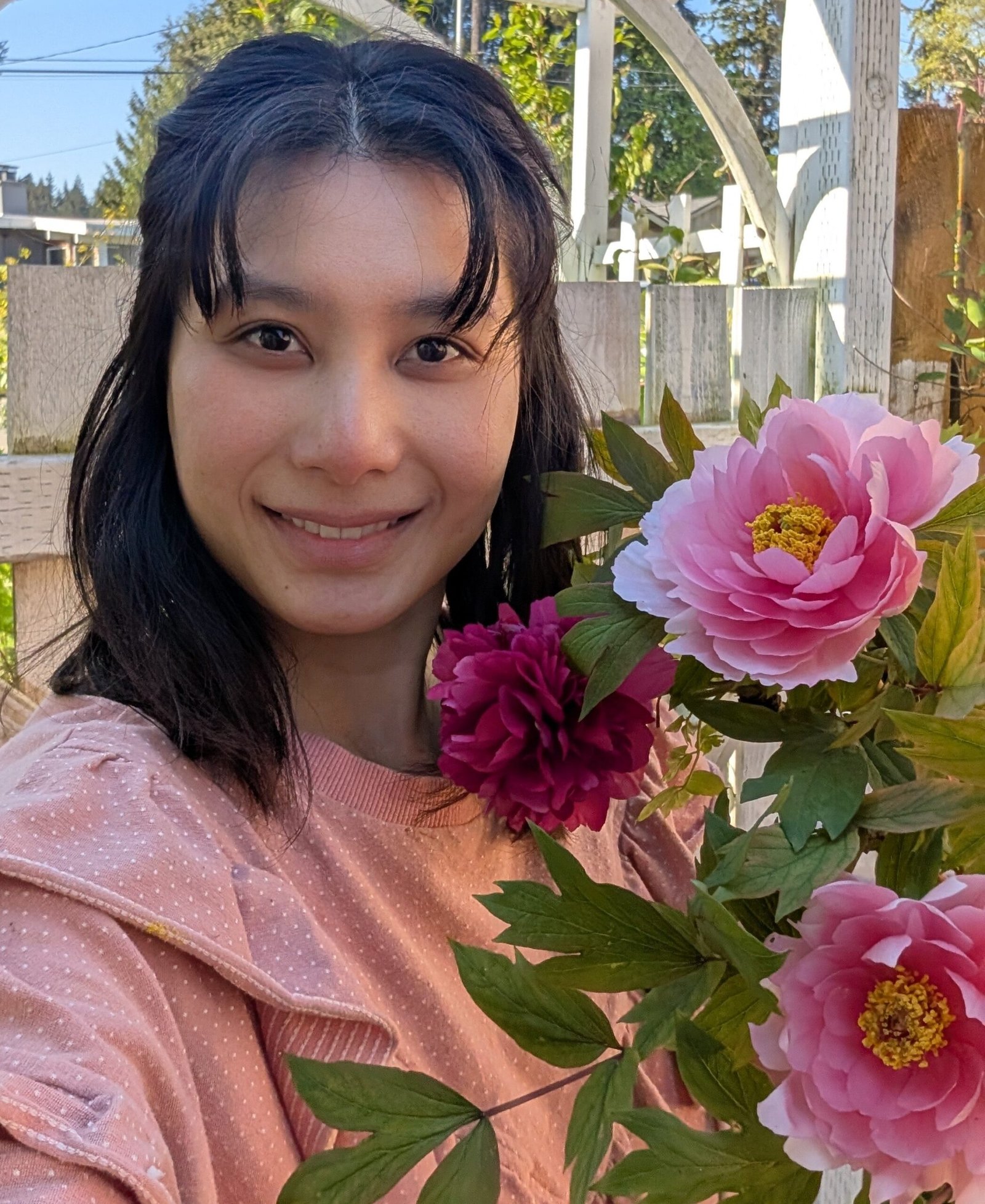 "Yachiyo tsubaki" Japanese tree peony - Image 8