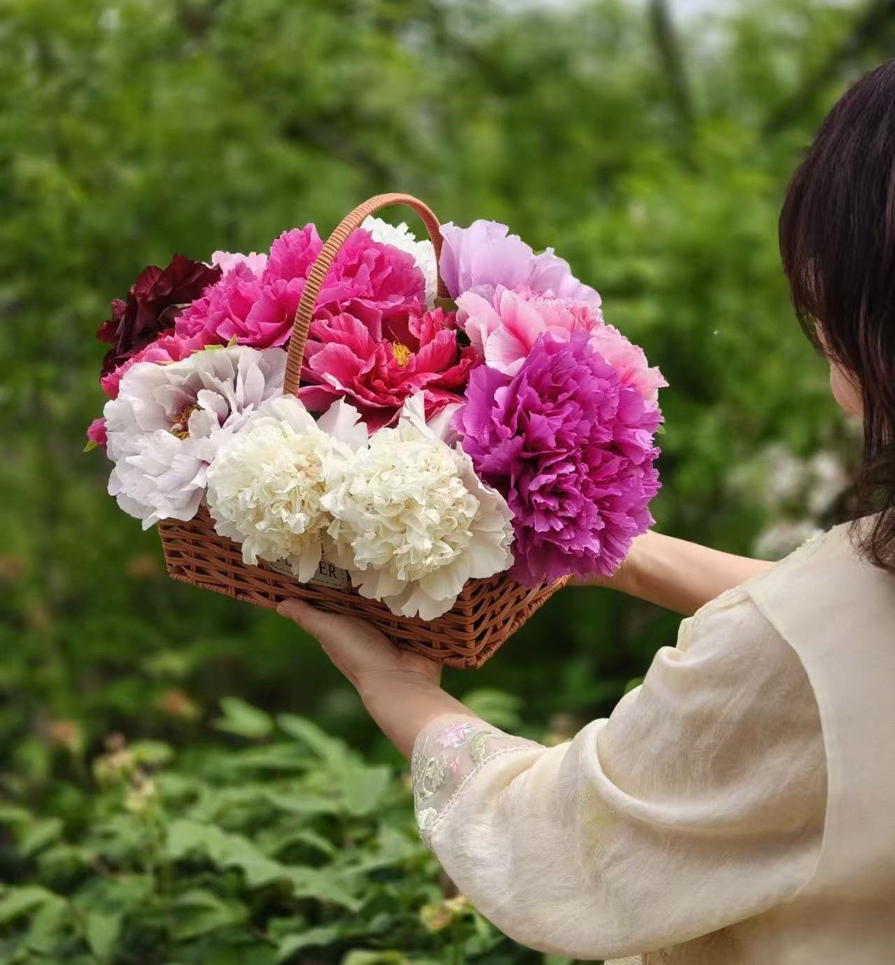 Zi Er Qiao tree peony - Image 4
