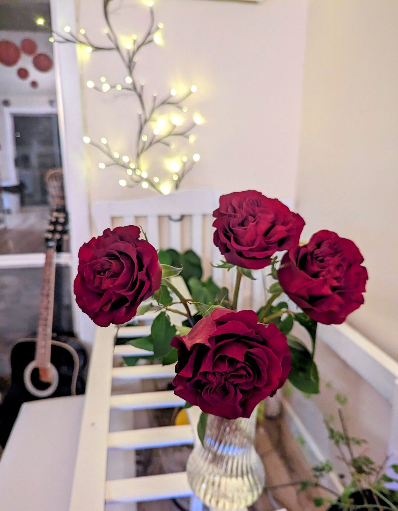 Hearts garden rose plant flower bush shrub - Image 4
