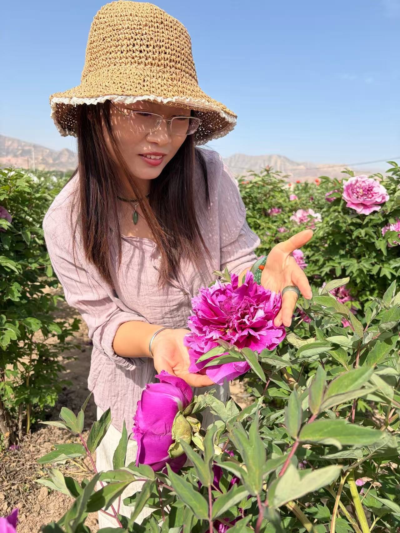 Zi Lou Xiang Jin tree peony - Image 2