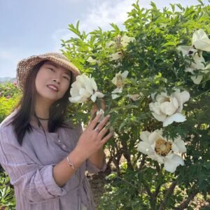 Xue Lian tree peony