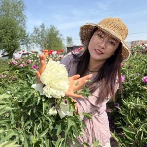 "Jade Hydrangea" large fragrant creamy white flower tree peony