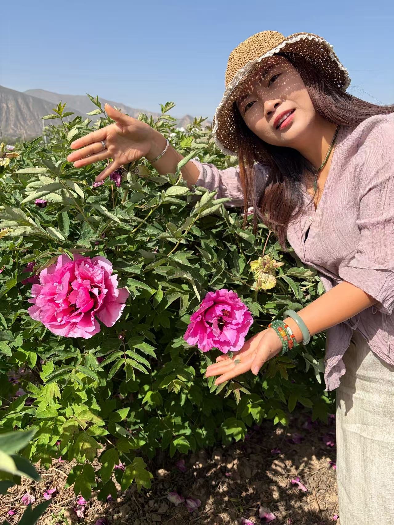 "Pretty lady" large flower tree peony - Image 3