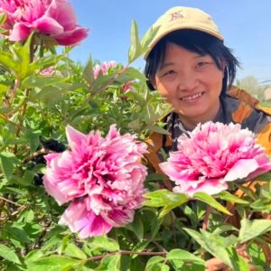 "Fire beacon tower" large flower tree peony