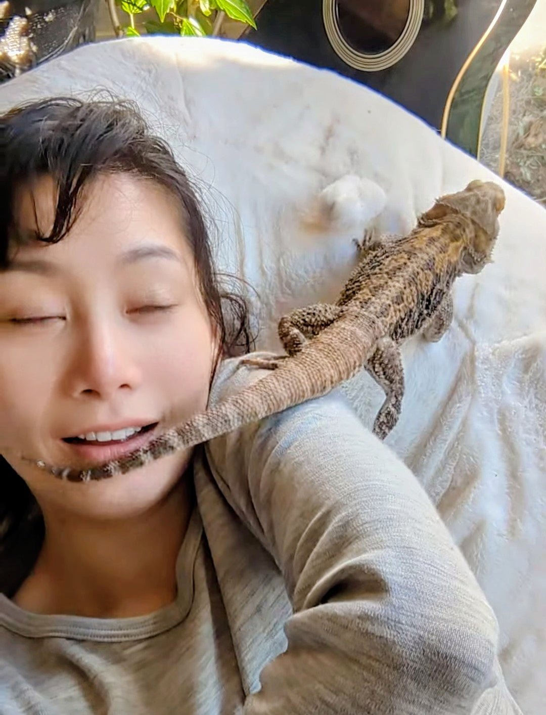 Bearded dragon - Image 5