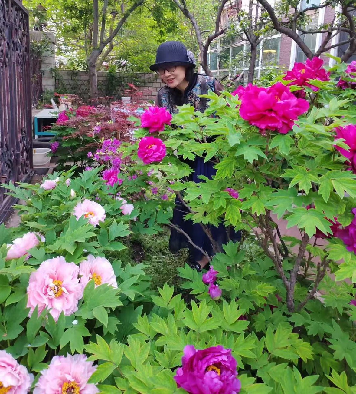Random and lost tag large flower tree peony with flowers - Image 5