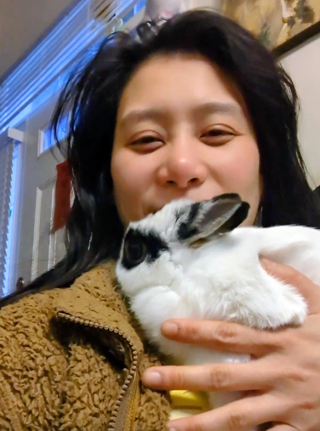 2 years old spayed Netherland dwarf bunny rabbit - Image 2
