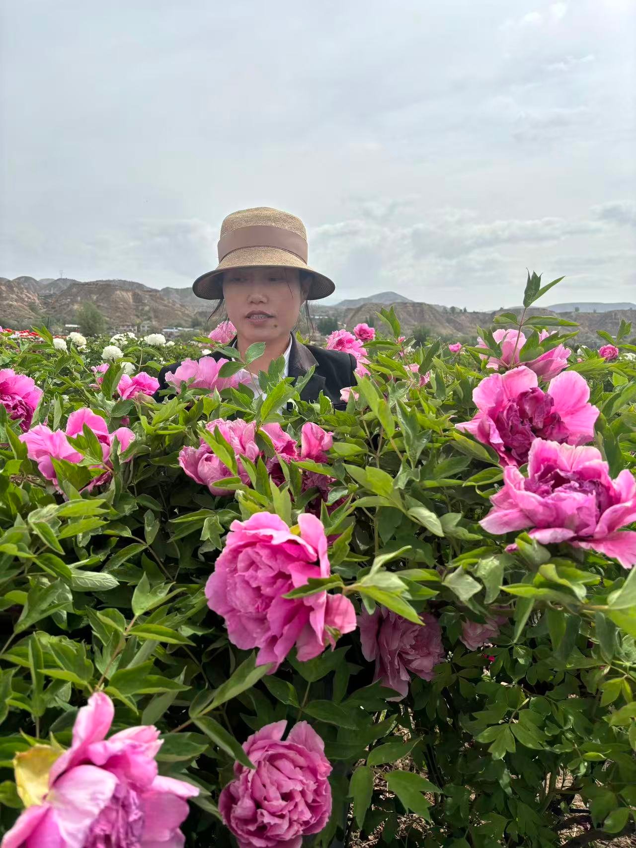 "Peach Blossom Manor" large flower tree peony