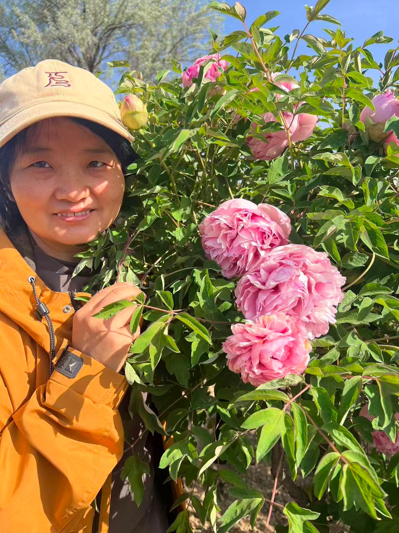 Tao Rong tree peony - Image 2