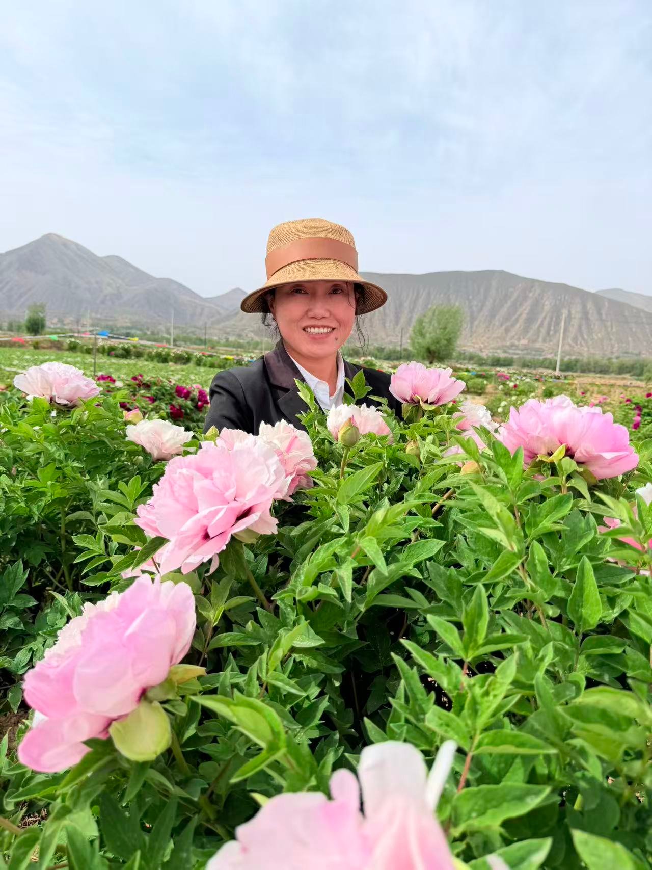 Fen Xi Shi tree peony
