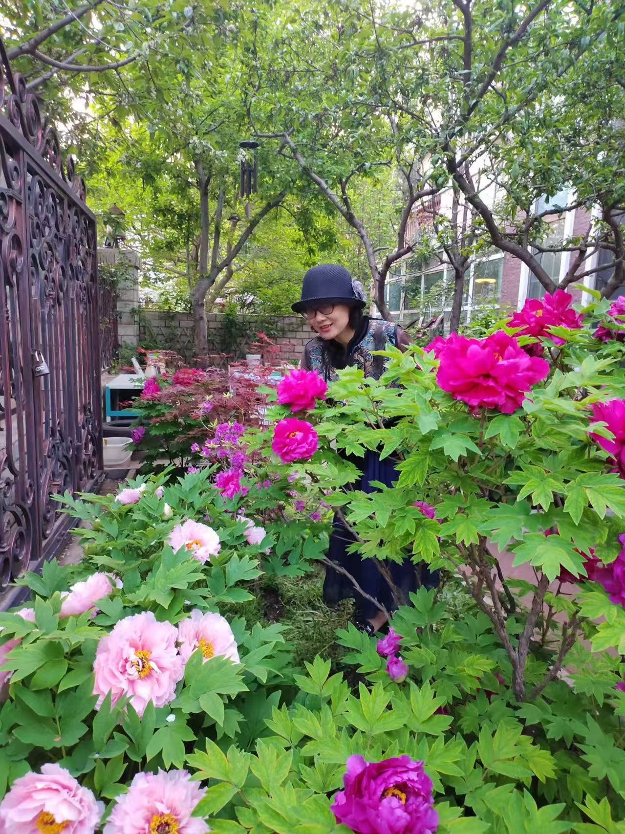 Random and lost tag large flower tree peony with flowers - Image 6