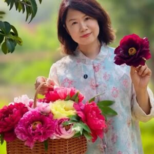 Random and lost tag large flower tree peony
