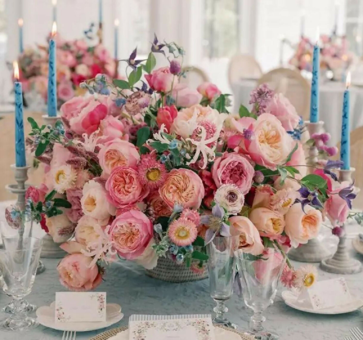 96 stems (8 dozens) of mixed David Austin Roses - Juliet (Ausjameson) Constance Keira Beatrice Miranda (Ausimmon) Edith Effie Eugenie Millicent Hettie etc - Image 10