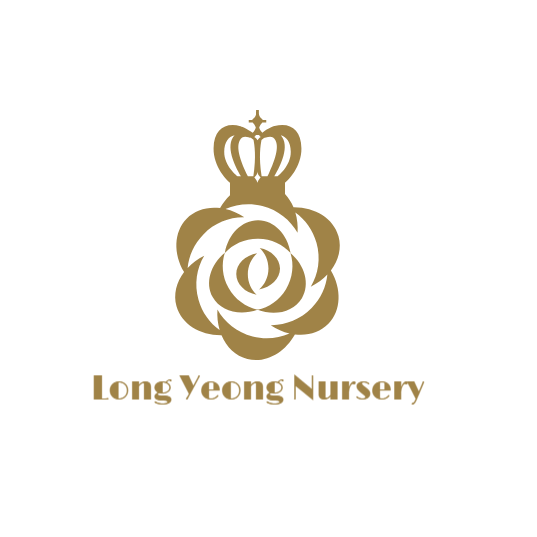 LY Nursery