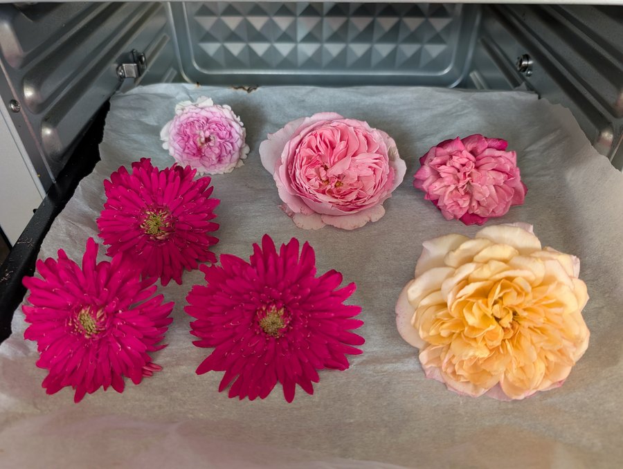 Doniazade rose petals drying on a tray