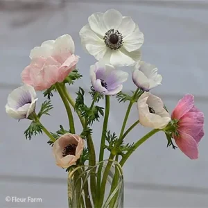 5a2bbd_e4e90c3b084e4ce8863e07fcfc561a88mv2.webp