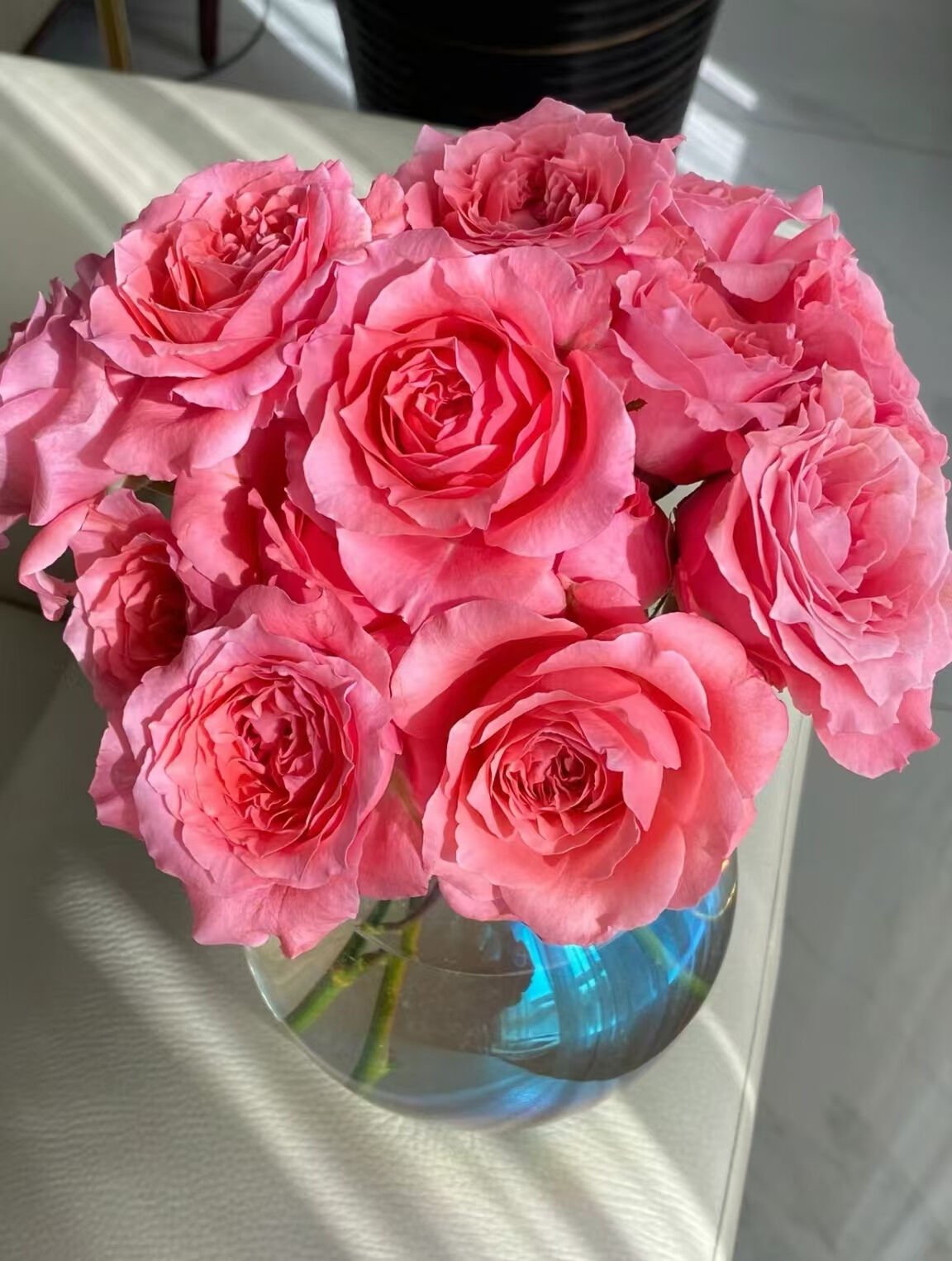 Cor Gel