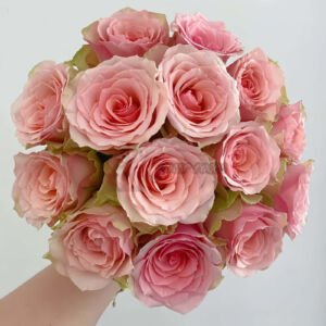 Fas