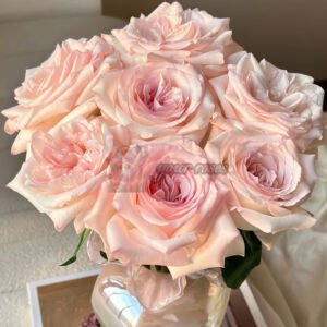 Fragrance Lady