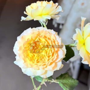 Luminous