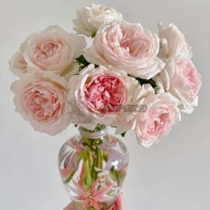 M-wedding box