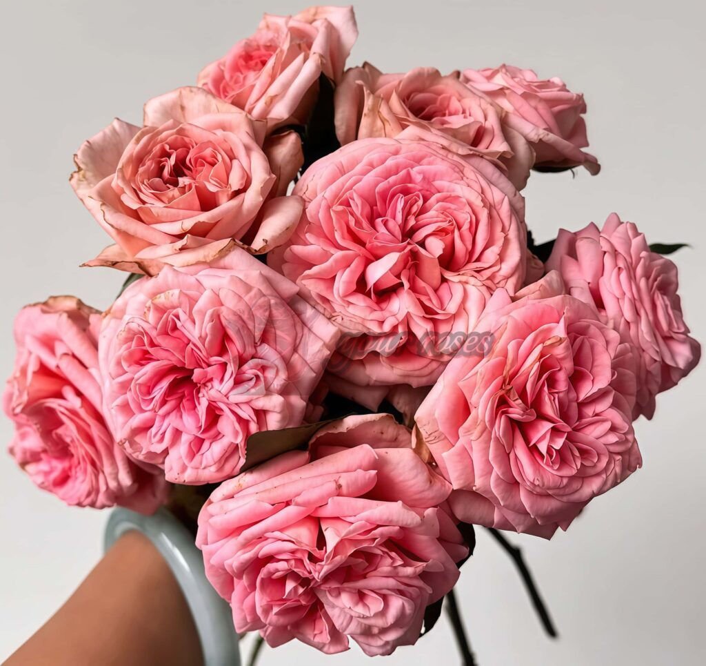 Mar
