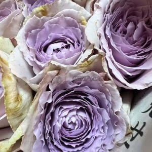 Mauve